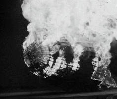 tumblr_m8us8loq2w1qlhokco1_500